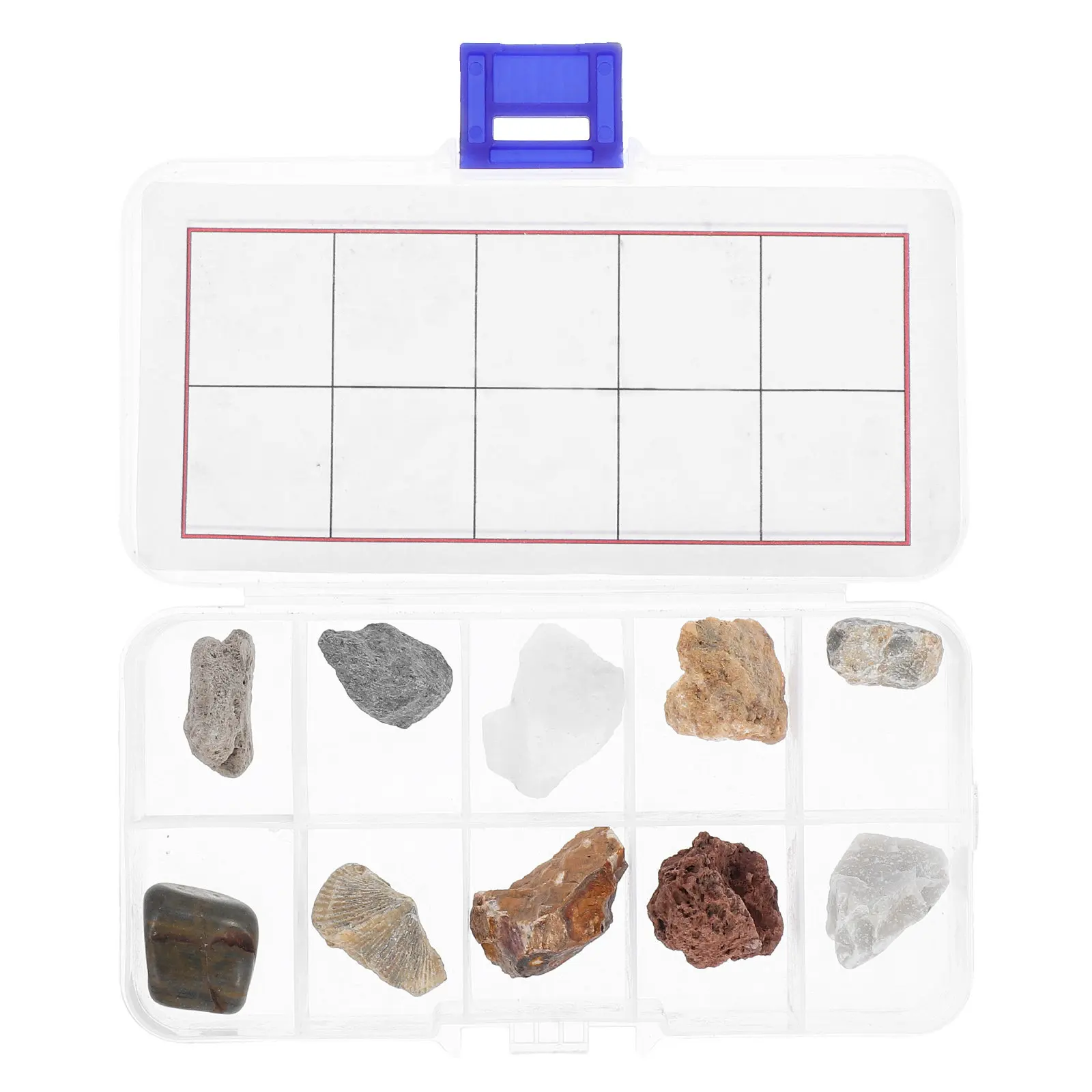 

1 Set Rocks Minerals Identification Kit Pumice Granite Marble Sandstone Shale Agate Fossilized Wood Specimens