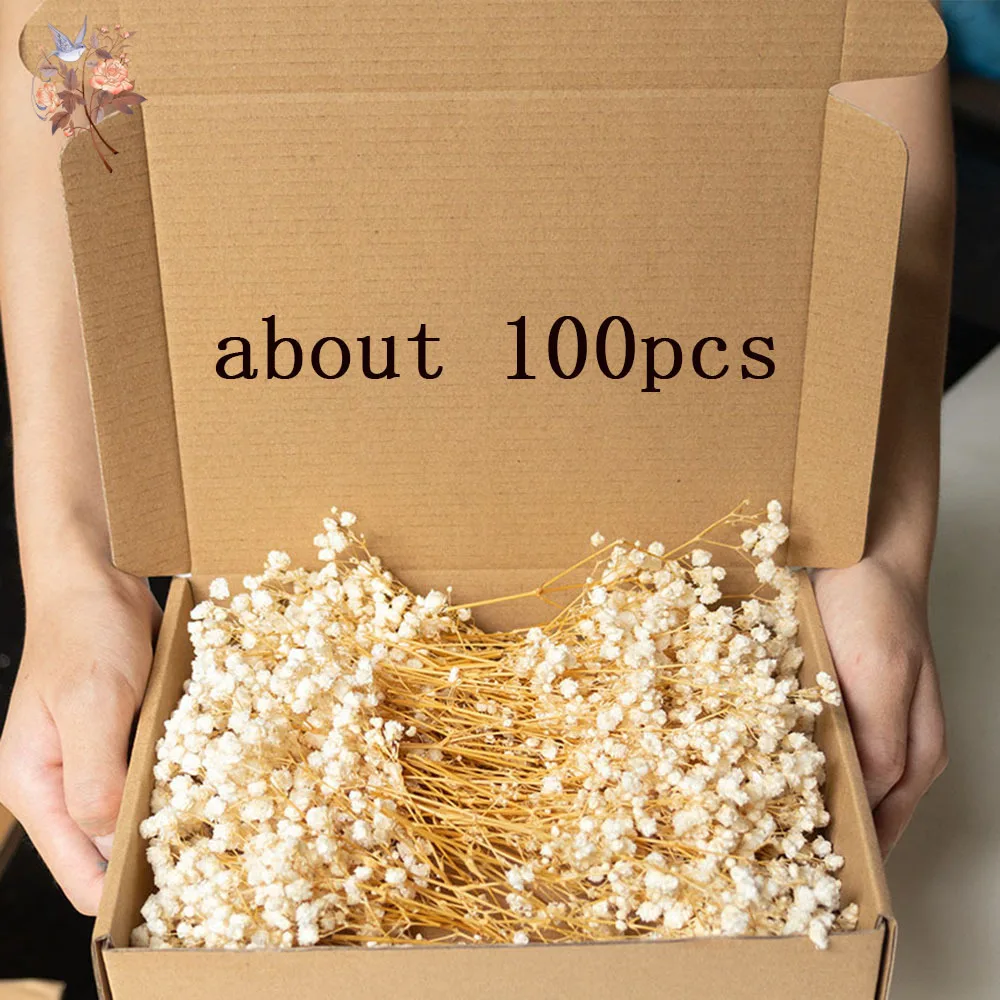 Thumbnail 3 - #77 Trending Dried Flowers Right Now