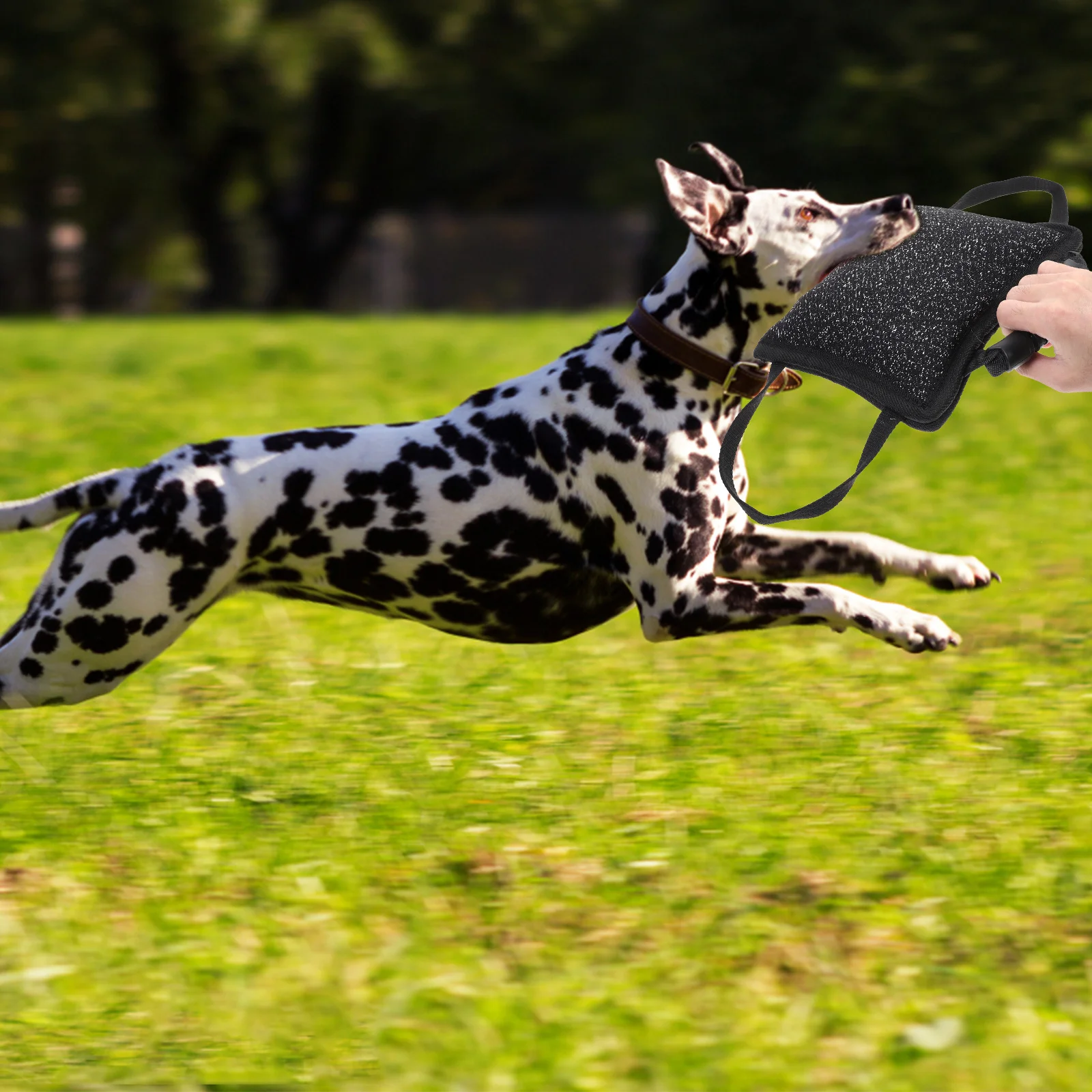 

3 Handles Premium Jute Bite Pillow Dog Chew Tug with Non-Slip Grip Ideal for Puppy Training Interactive Play Outdoor Use