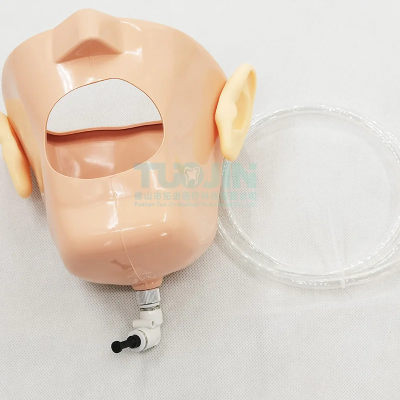 Dental Phantom Head Simulator Manikin With Chair Oral Teaching Simulation Training System For Dentist Education