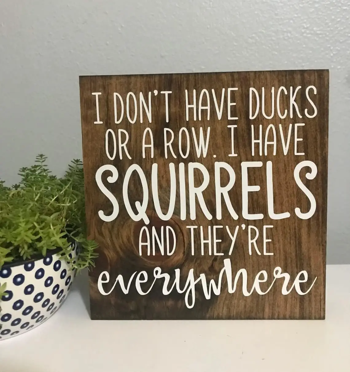 I Don’T Have Ducks Or A Row I Have Squirrels and They’Re Everywhere Vintage Tin Sign Home Wall Decor Art Room for Home Office Be