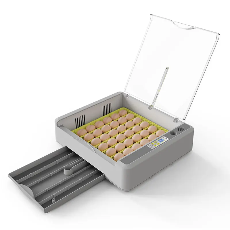 Egg Fully Automatic…