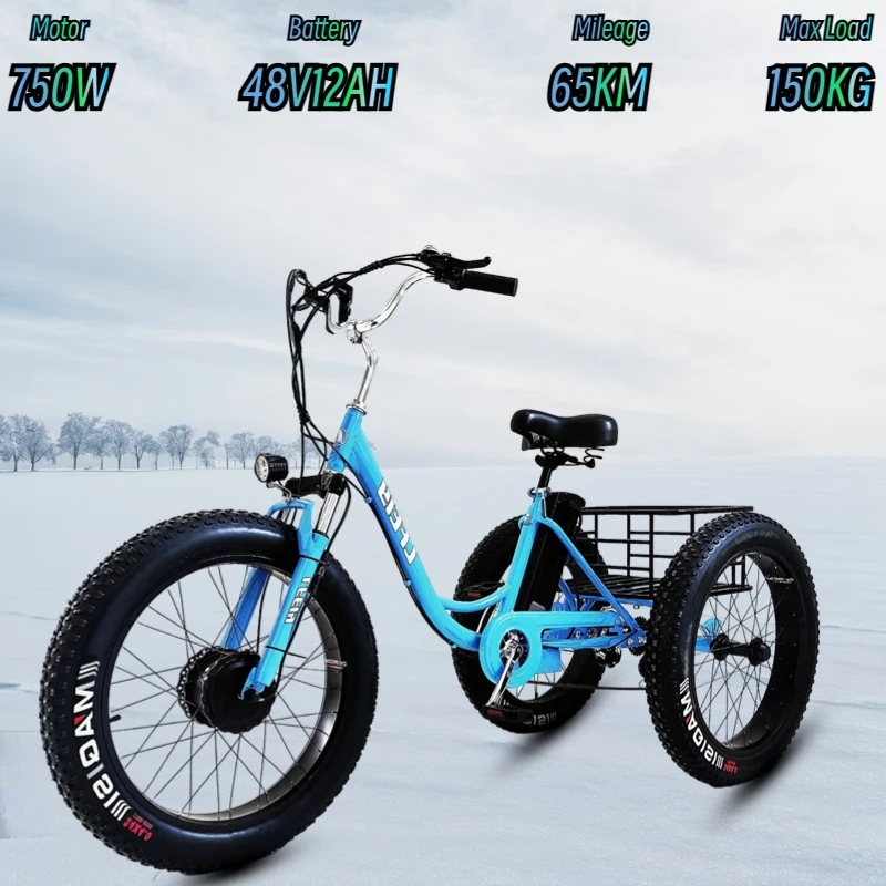 3-Wheeled Electric Bicycle 750W Motor 48V 12AH Lithium Battery 24*4.0 Fat Tire Snow E-Bike Storage Basket Freight Electric Bike