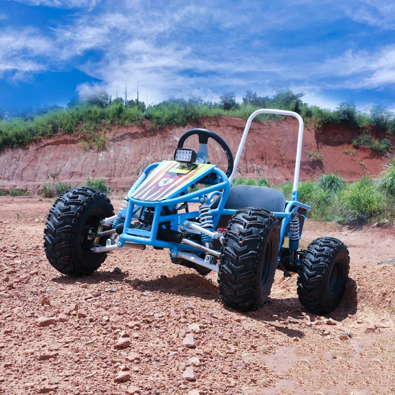 Favorite Made in China Cheap Electric Buggy Go Kart for Kids with 21 Inch Wheels and 20km/h Speed on Sale