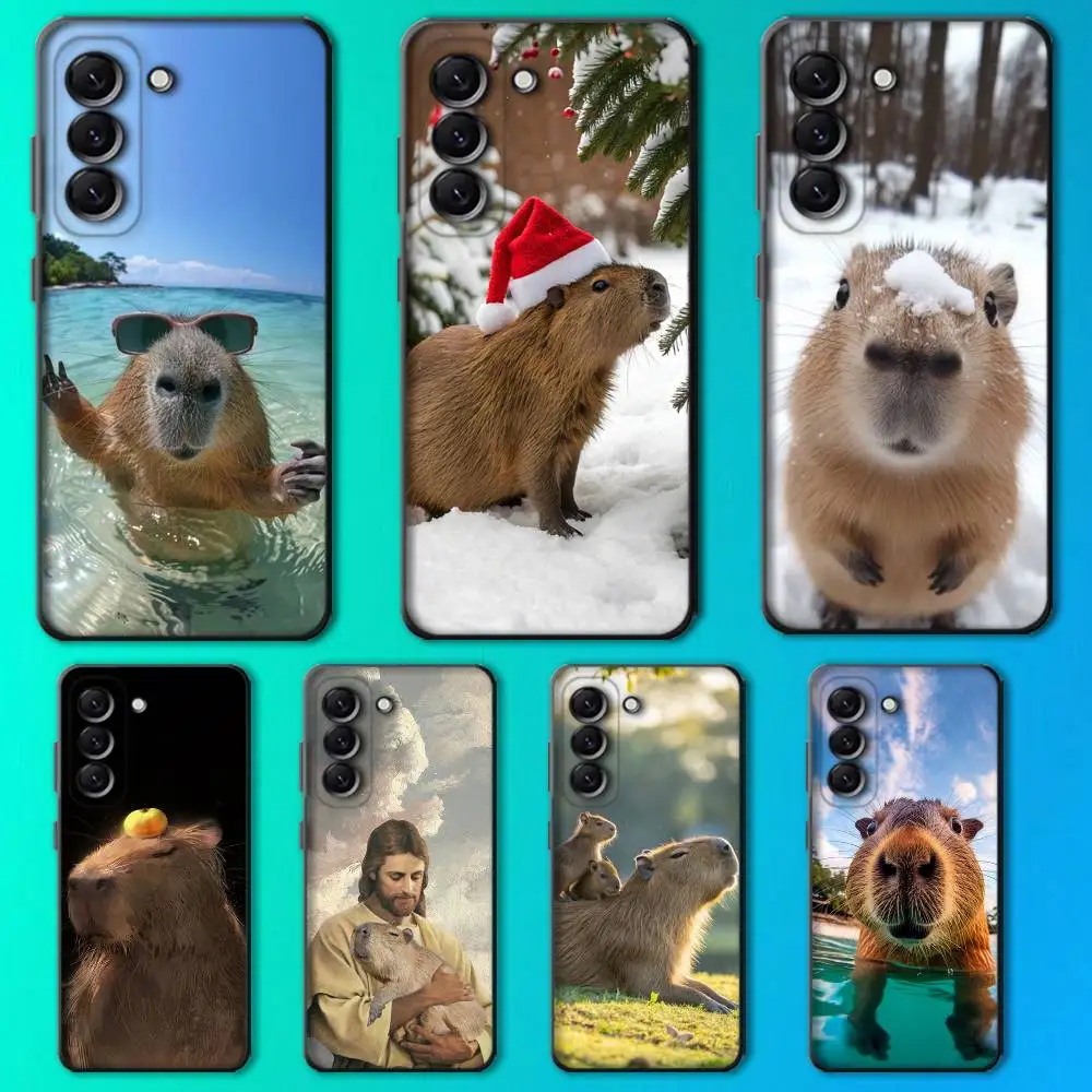 Pet Capybara Cute F… - image