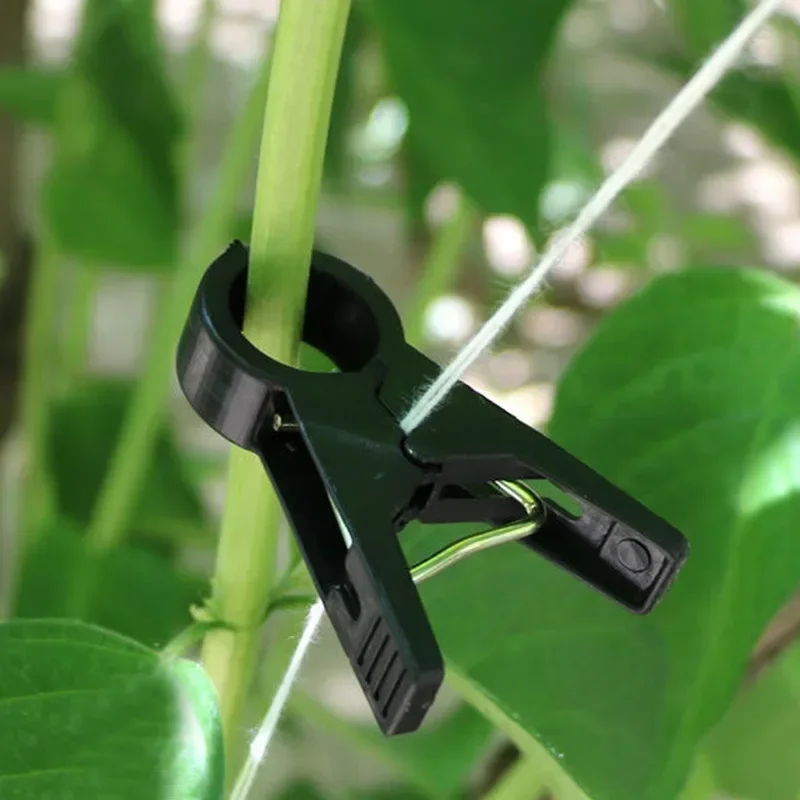 Vegetable Vine Binding Clip Hanging Seedling Cucumber Eggplant Grafting Tomato Plastic Clip