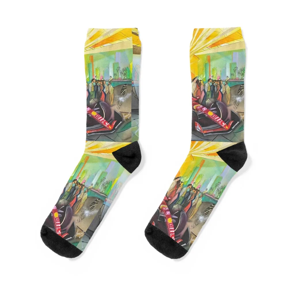 Fast Evolution (Mural Currently located in Miami) Socks Stockings man christmas gifts sheer christmas stocking Socks Women Men's