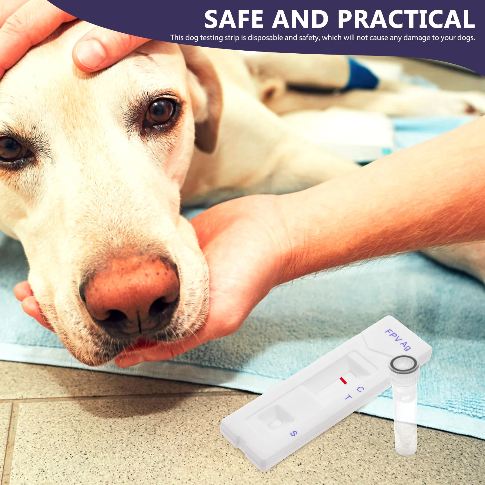 

Pet Testing Strips Canine Distemper Paper Veterinary Supplies Lightweight Portable Fast Results PP Cotton ABS Safe