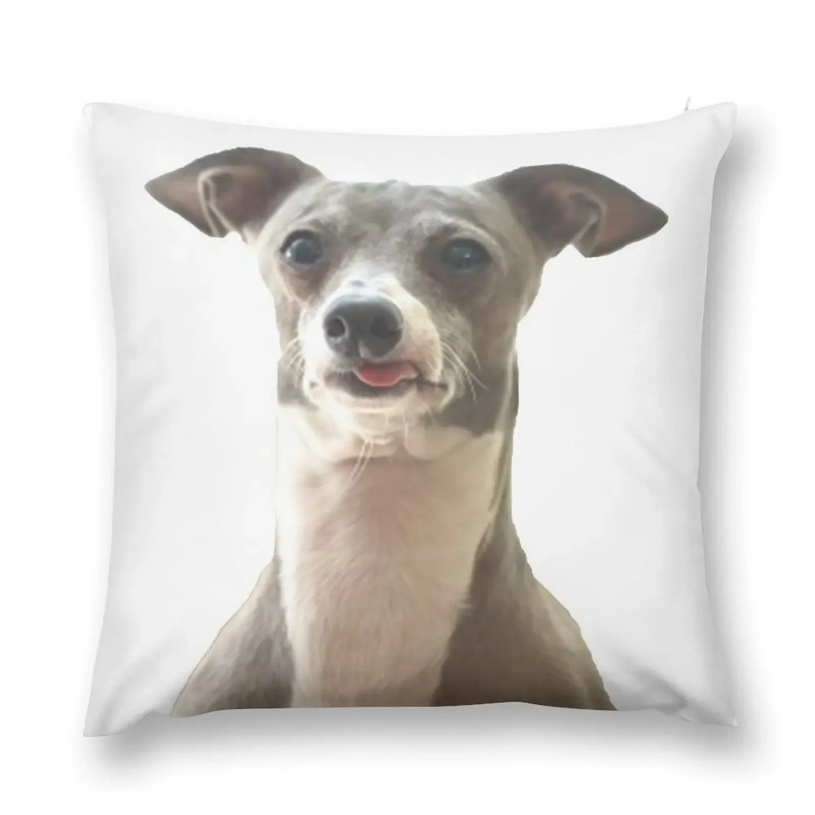 

Nasty Boy Cermet Throw Pillow Pillow Decor Room decorating items pillow