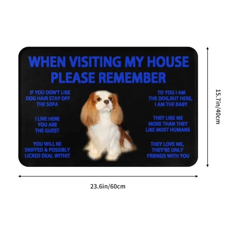 Cavalier King Charles Spaniel Front Door Mat Anti-Slip Outdoor Quick Dry Dog Doormat Kitchen Balcony Entrance Rug Carpet