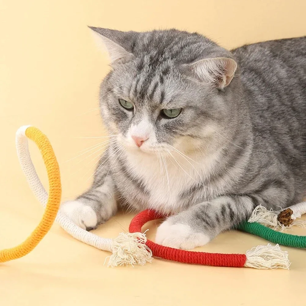 1PC Cat Toys Chew Rope Safe Teeth Cleaning Toy for Indoor Kittens, Interactive Cat Nip Kitty Toys for All Breeds image 4