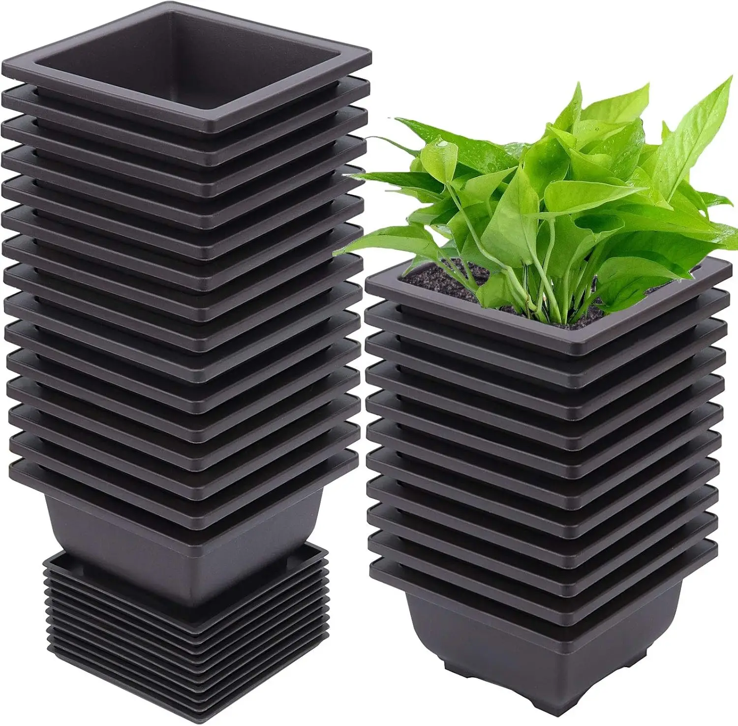 

15 PCS 4.7 Inch Bonsai Training Pots, Square Plastic Plants Growing Pots, Flower Succulent Pots Container with 15 Draina