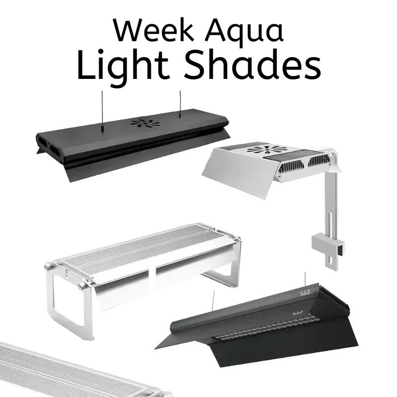 Week Aqua Light Shades A/P/M/L Series