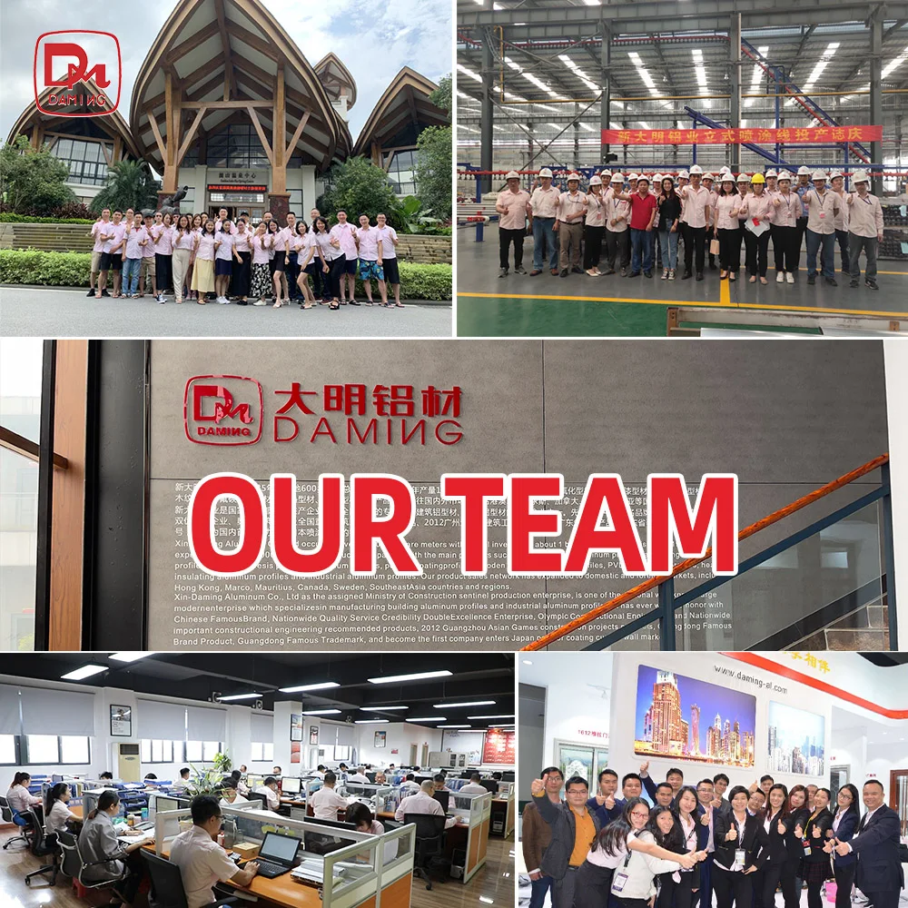 تخصيص إطار جدران الستائر والإكسسوارات والأجزاء ملف تعريف الألومنيوم ملف الكسوة #6