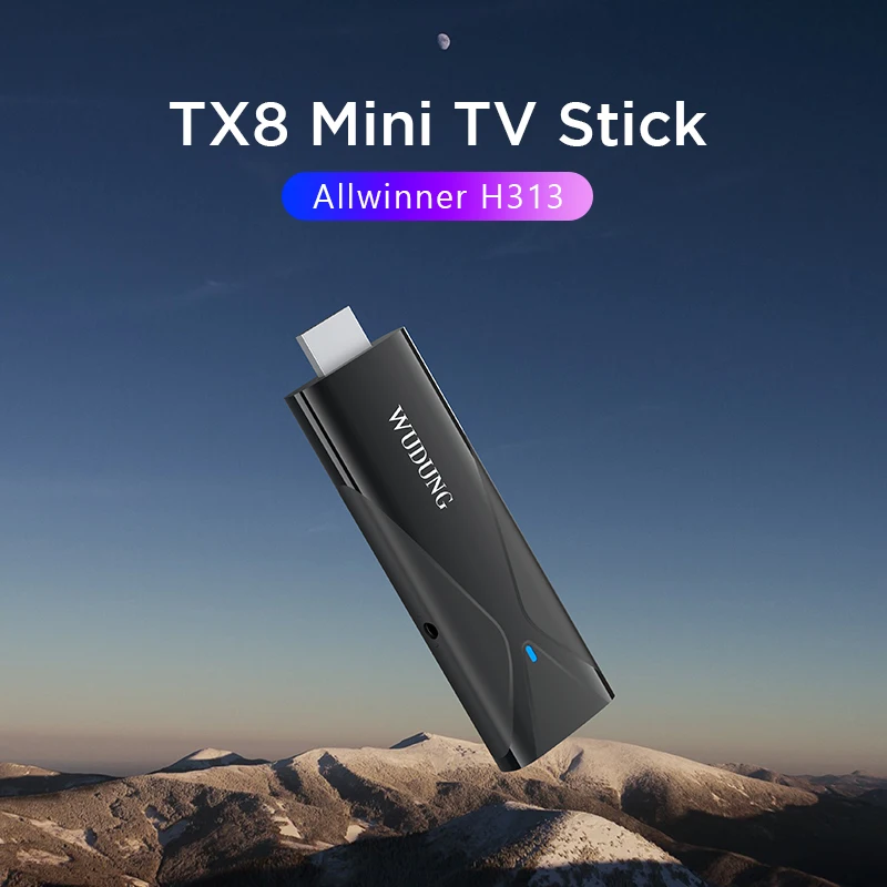 WUDUNG TX8 Smart TV Box Android 10 TV Stick Allwinner H313 2GB