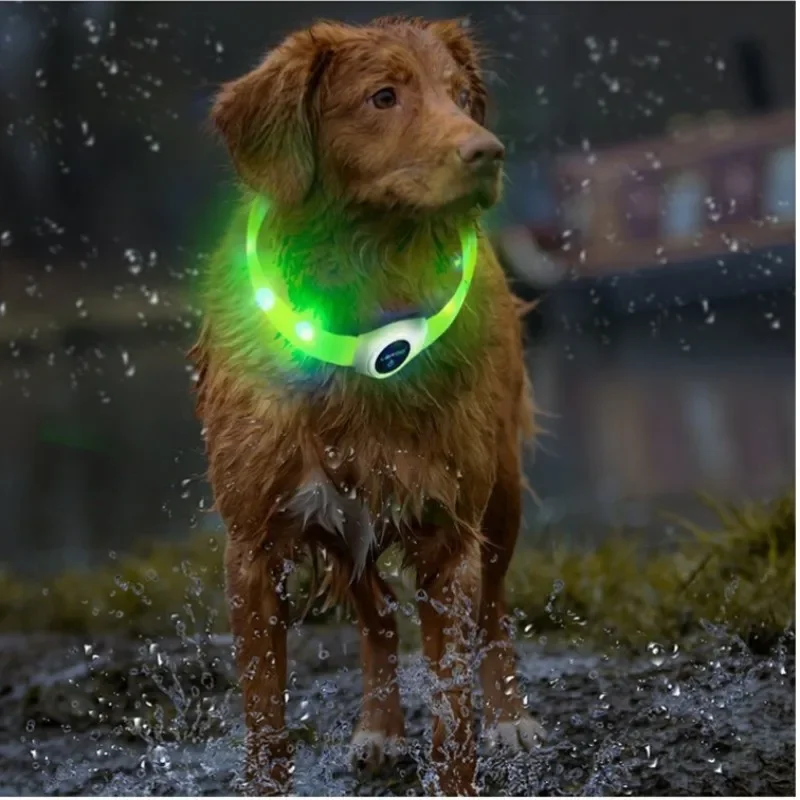 LED Luminous Dog Collar for Large Medium Small Dogs Waterproof PVC USB Light Night Safety Pet Glowing Accessories