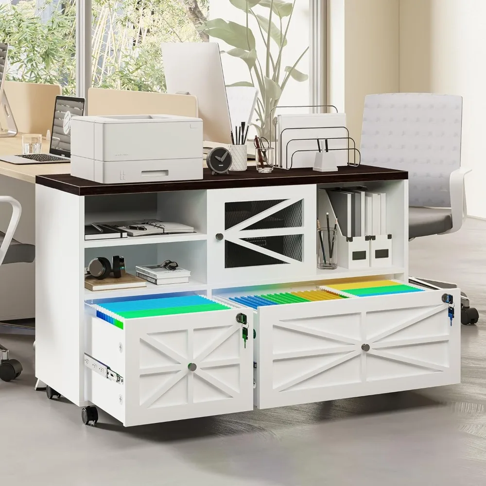 

2 Drawer File Cabinet with Lock, Rolling File Cabinet for Home Office Fits Files Letter/Legal/F4/A4, Filing Cabinet 2 Drawer wit