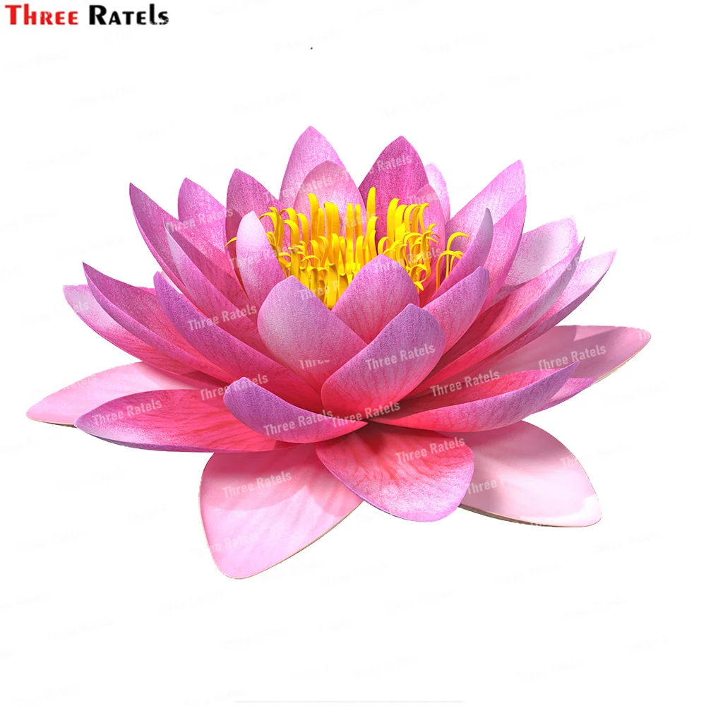 

Three Ratels K552 Blooming Nymphaea Siam Purple Cartoon Toilet Sticker Wall Decals Home Decor