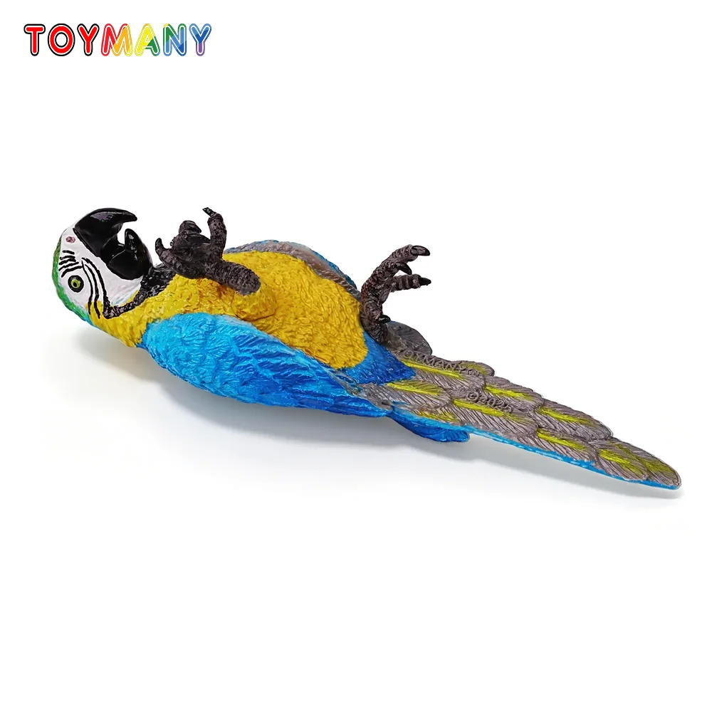 Toymany Simulation Blue-and-yellow Macaw Wildlife Animal Model Toy Mini Figures Dolls Action Figurines Toys Children Gift