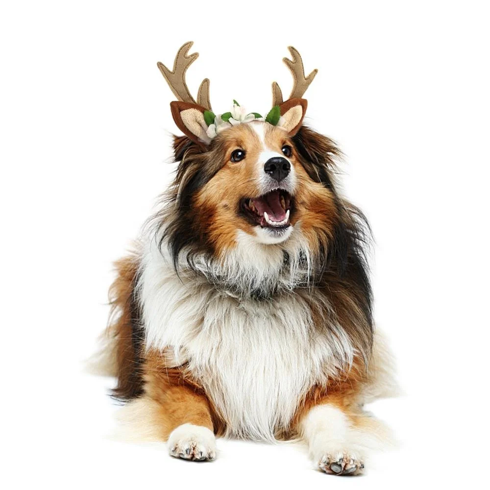 Christmas Pet Antlers Headgear Dog Festival Deer Antlers Head With Cat New Design Party Decoration Pet Dog Cosplay Costume