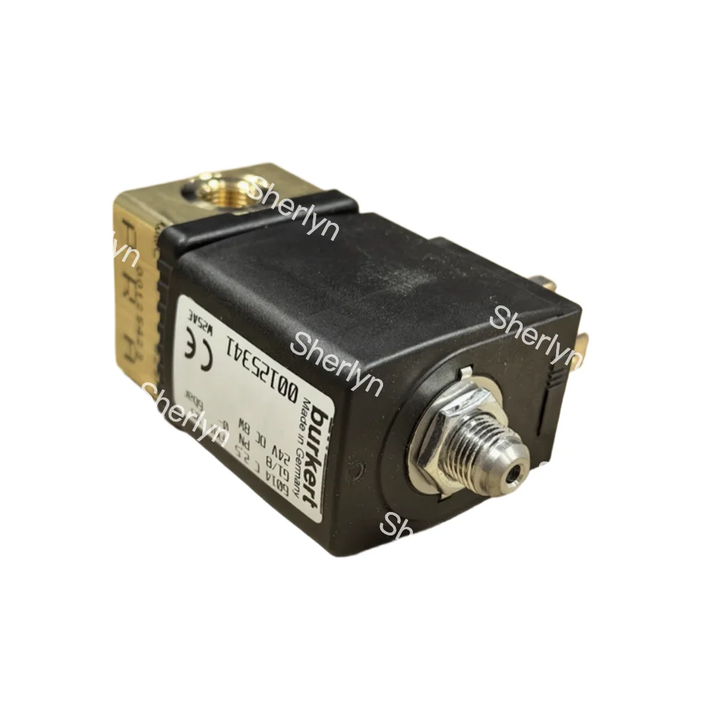 valvula-solenoide-burkert-serie-6013-g1-4-2-2-normalmente-cerrada-con-sello-fkm-00125302-00125304