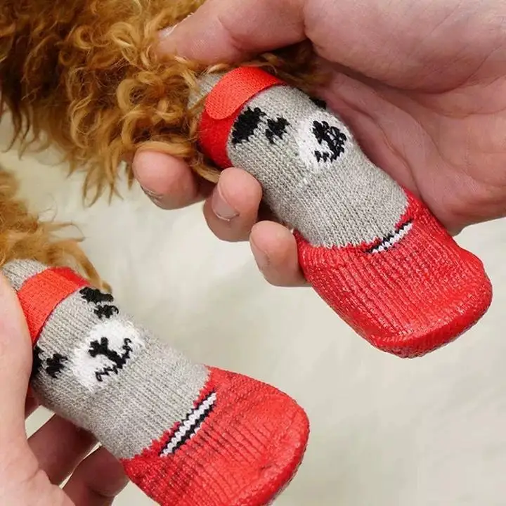 Thumbnail 2 - #72 Puppy Boots Comparison Guide