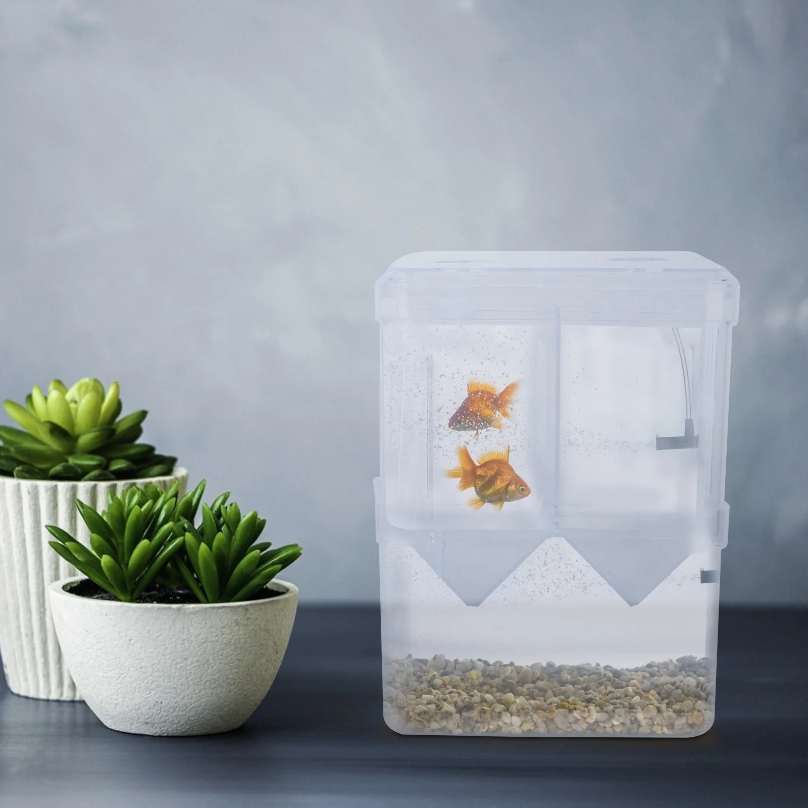 

2Pcs Transparent Fish Breeding Containers Aquarium Fry Hatching Box 2-Layer Divider Survival Improving Aquarium Breeding Box