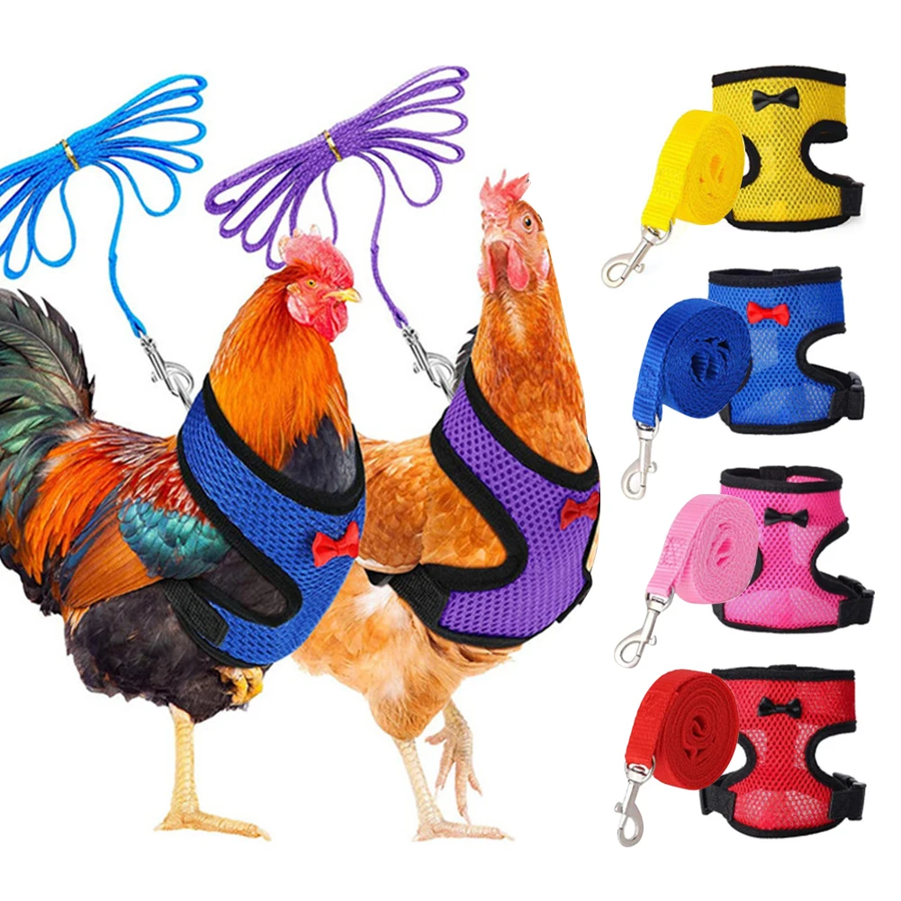 Fashion Chicken Duck Vest Hen Belt Pet Harness Matching Collars Bow Comfortable Leads Mesh Breathable Poultry Supplies Leash