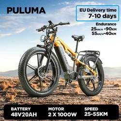 2000W Double Motor 48V 20AH Electric Mountain Bike, 26 inch ebike For Adults 45 km/h, 7 Speed Double Suspension