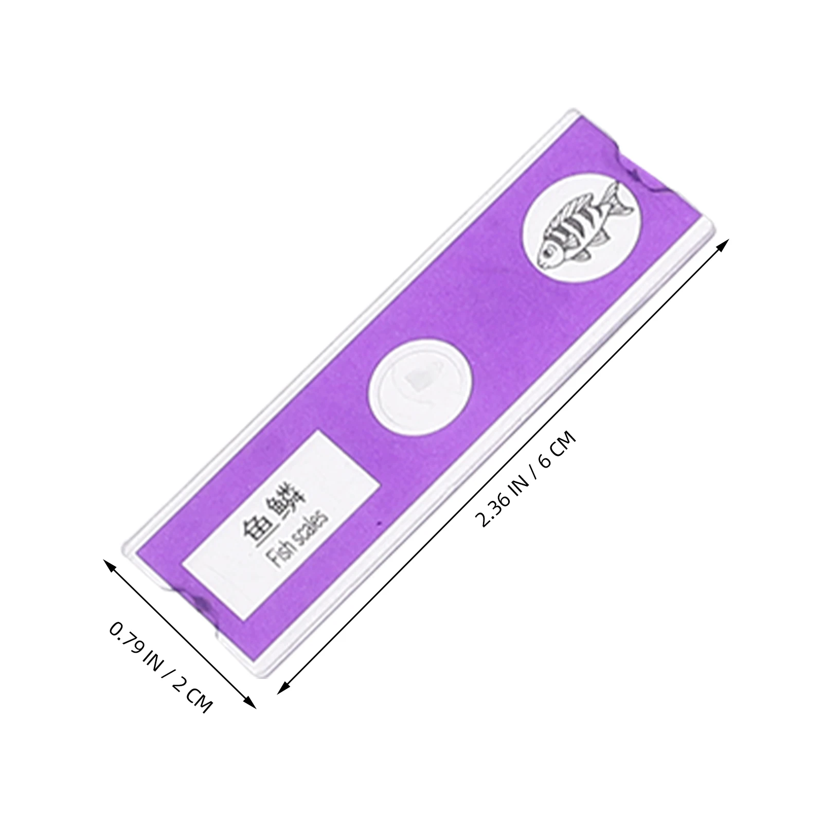 24 قطعة مجموعة شرائح المجهر العلوم للأطفال عينات جاهزة للأطفال تعلم الأحياء تسميات اللغة الإنجليزية الصينية #6