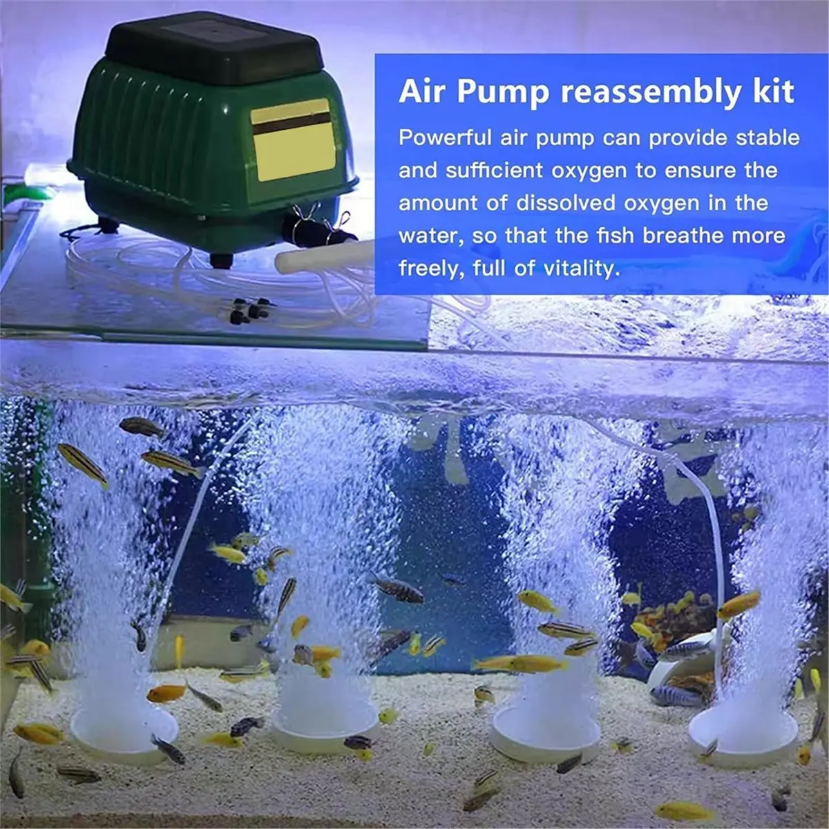 618 Mega Sale Air Pump Rebuild Complete Kit for HP60/80 for Aqua-Aire AA500, with White Switch