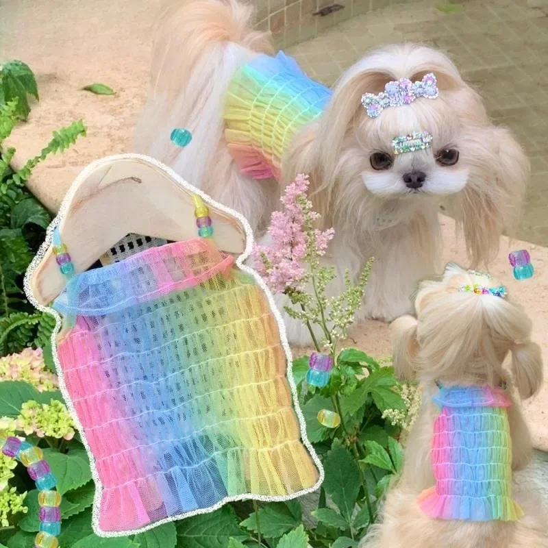 

Rainbow Sling Bichon Schnauzer