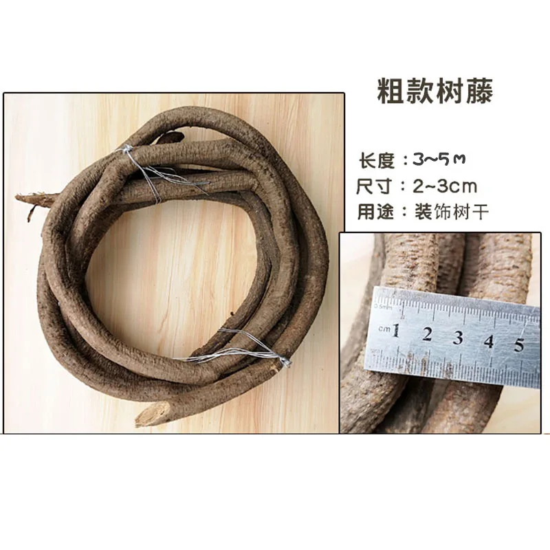 500~700CM Real Plants Tree Vines Alive Flexible Rattan Real Touch Branches Liana Wall Hanging Rattan Wedding Decoration Flowers - Image 5