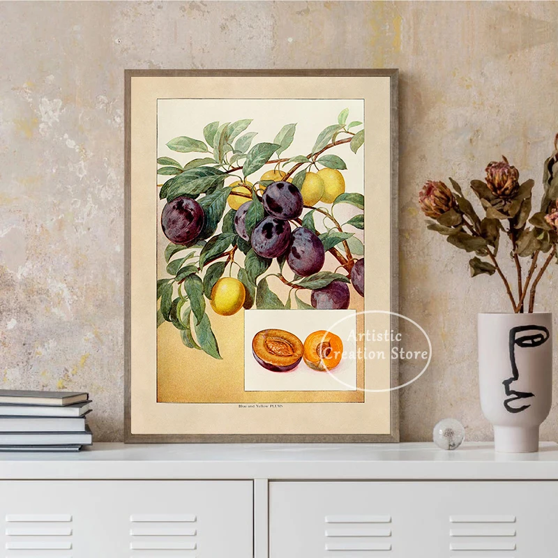 1900s Garden Artwork Poster Grapefruit Tomato Bartlett Pear Plant Print Canvas Painting Wall Art Kitchen Room Home Decor Gifts