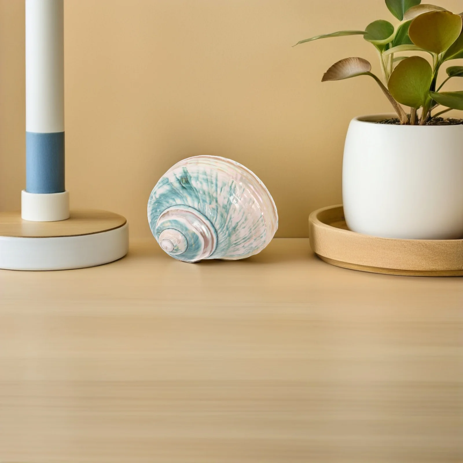 

Natural Conch Shell Mediterranean Seashell Ornament Ocean-Themed Aquarium Decor Desktop Conch Adorn Fish Tank Specimen