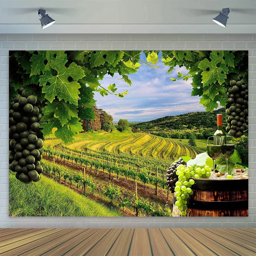 Vineyard Backdrop Red Wine Bottle Barrels Harvest Birthday Party Decoration Banner Rustic Countryside Photography Background