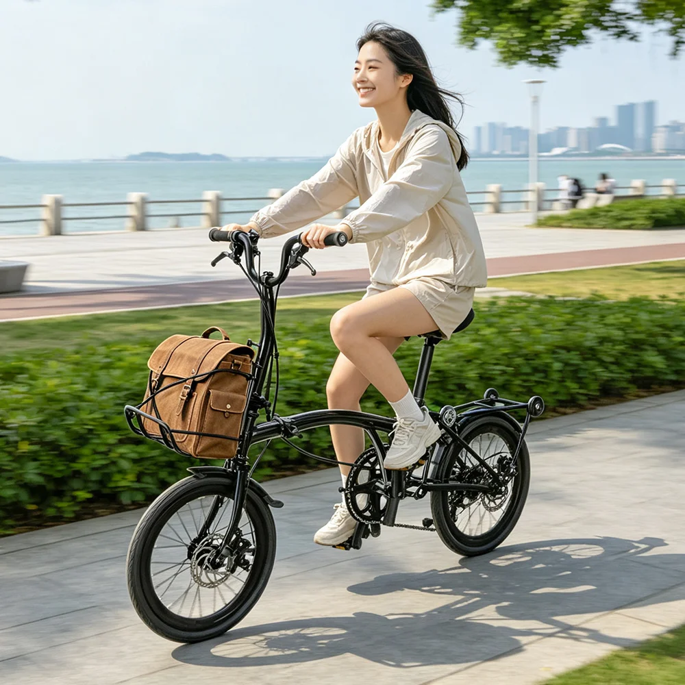 NEWBOLER Brompton Metall-Frontträger für Brompton Fahrradtasche, leichter Front-Gepäckträger, Fahrradzubehör – Detail 11