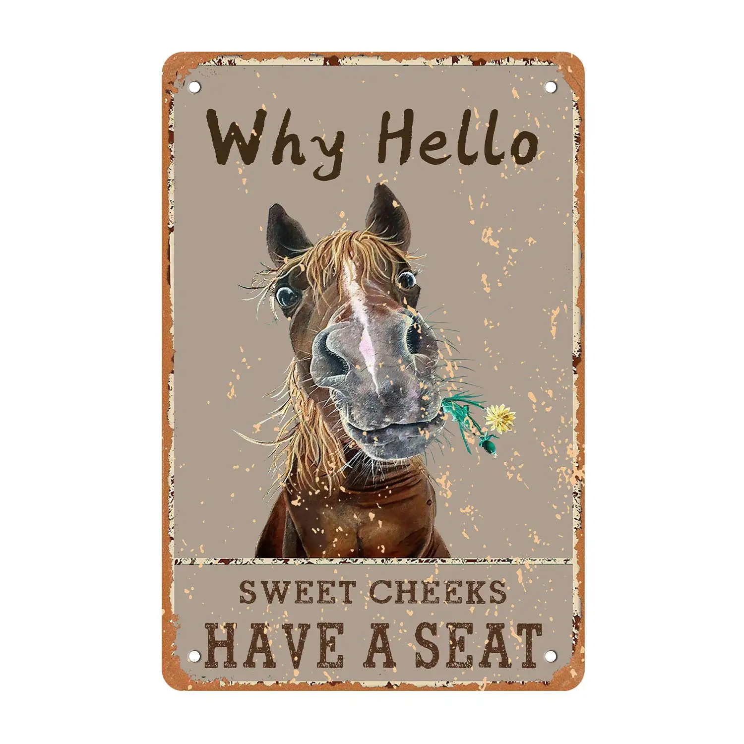 MuaToo Swee Cheeks Horse Wall Decor,Why Hello Have A Seat Tin Sign,Funny Vintage Retro Poster Paintings Cute Bathroom Decor Pict