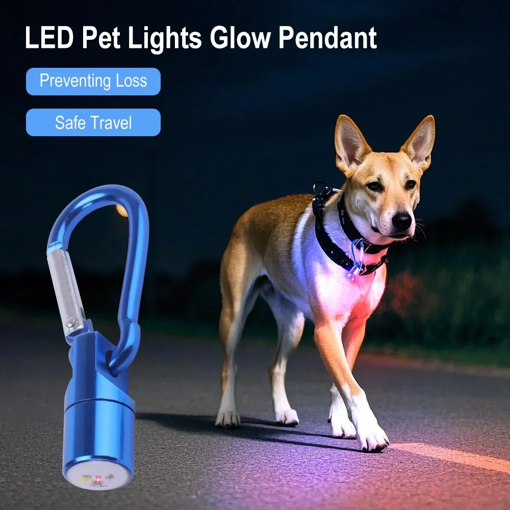 #32 Cheap LED Dog Collars Worth Buying