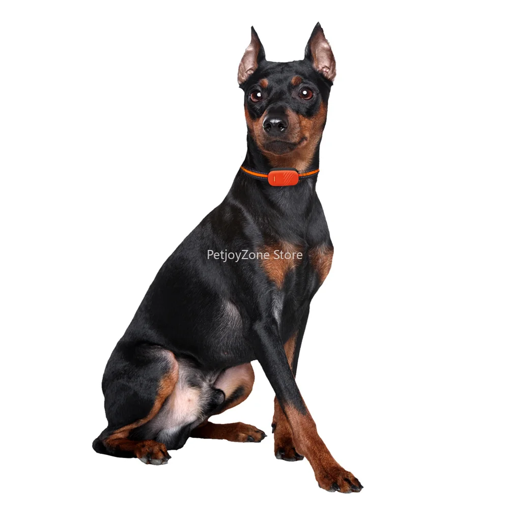 

Magnetic Charging Tractive Gps Tracker Pet Mart Pet Find My Tag Chip Tracker Small Battery Range Smart Pet GPS Tracker