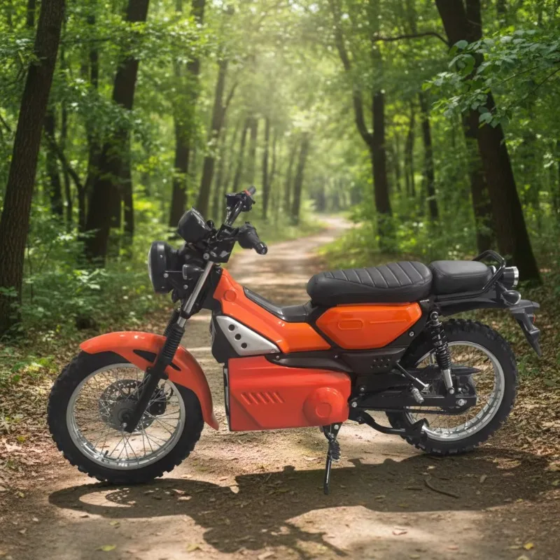 Krono Wild Electric Scooter With Smart Battery Management System Extend Battery Life Removable Lithium Battery Electric Motorcyc