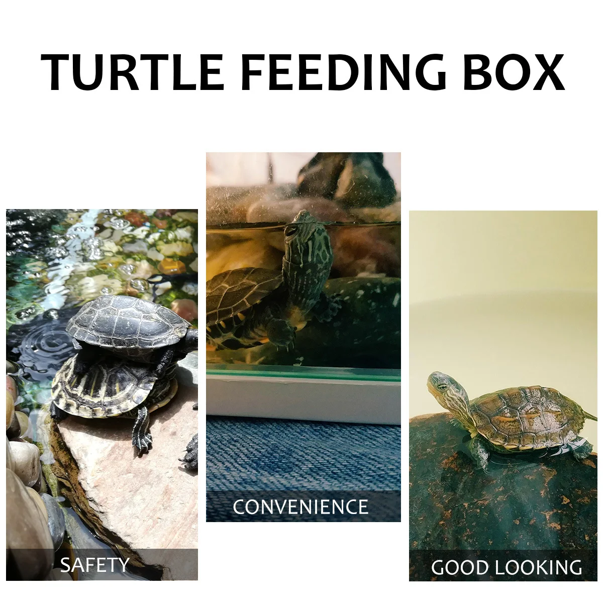 

1pc Large Plastic Turtle Tank Drying Platform For Pet Turtles Hibernation Swimming Sunbathing Feeding Station Pp Material