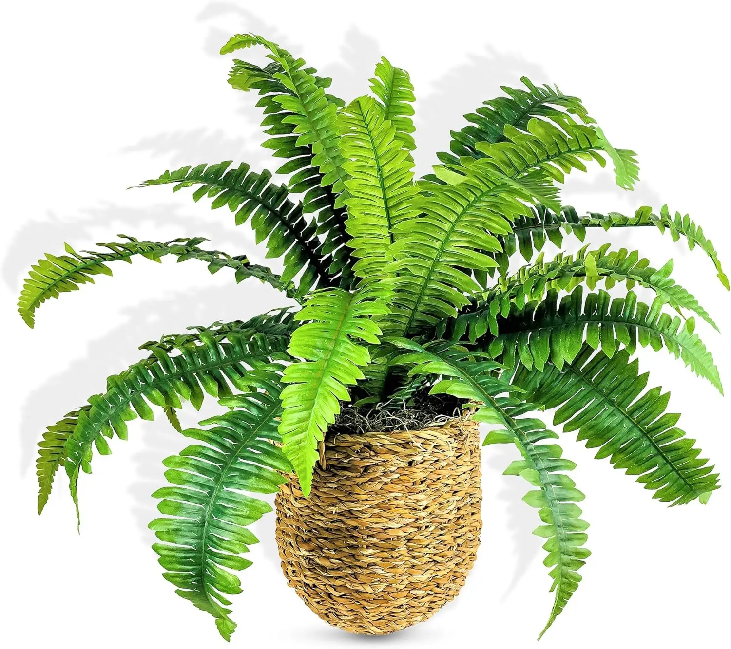 24Inch Artificial Boston Fern Plant in Woven Basket – Natural Lifelike Foliage – Faux Indoor Plant or Fake House Plant for Décor