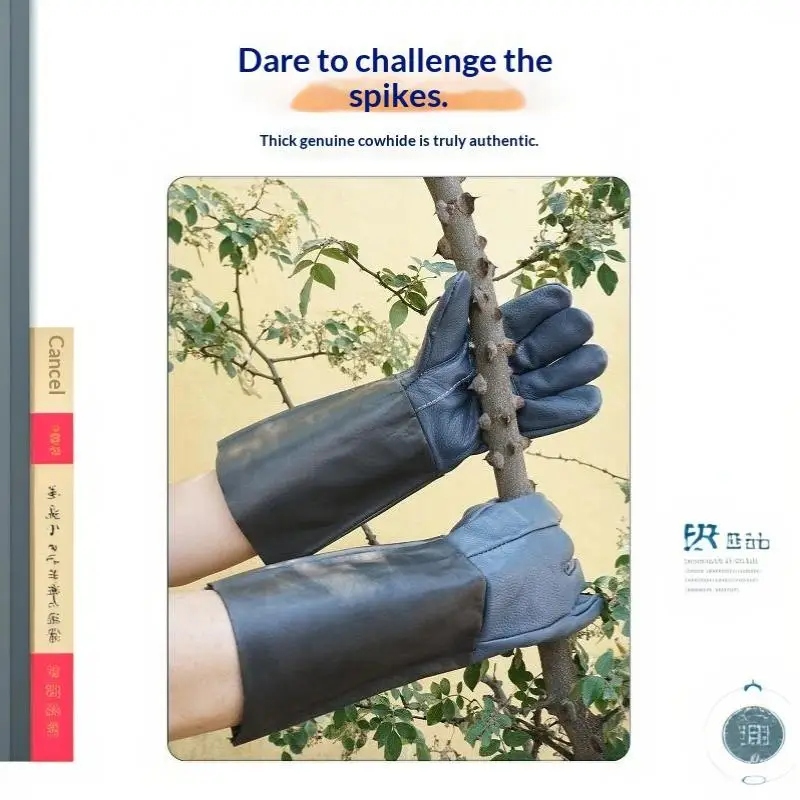 Gartenhandschuhe aus Rindsleder, durchstichfest, dornenresistent, ideal zum Kastanienpflücken und zur Obsternte. – Detail 12