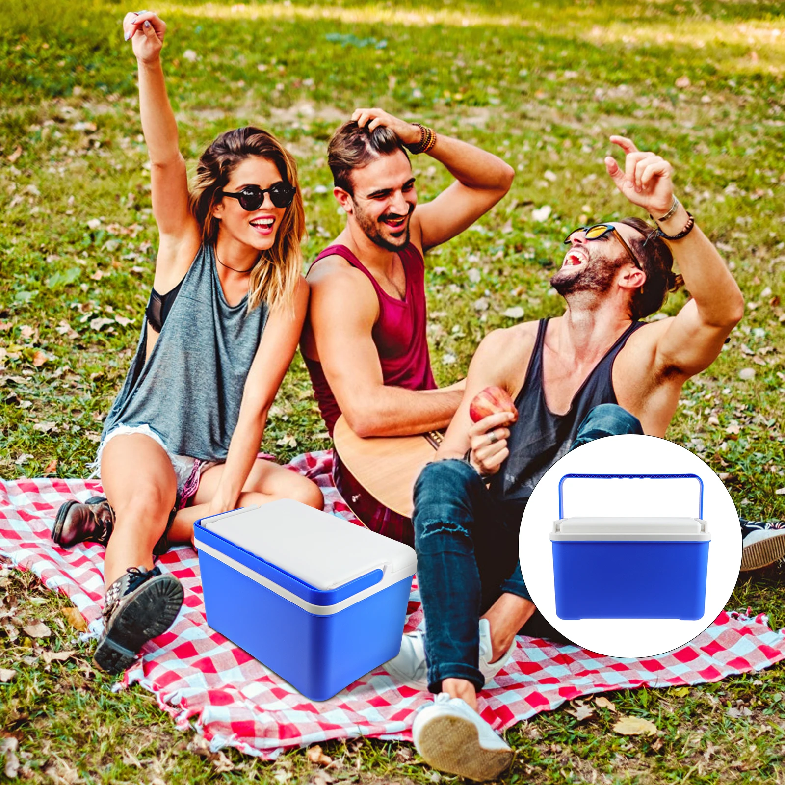 

12L Insulated Picnic Basket Portable Cooler Box Handle Large Size Durable Pvc Material Heat Preservation Food Storage Bag For