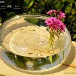 Transparent Glass Vase Room Decor Home  Wedding Decoration Small Vase for Plants Decorativos Maison Round Air Terrarium