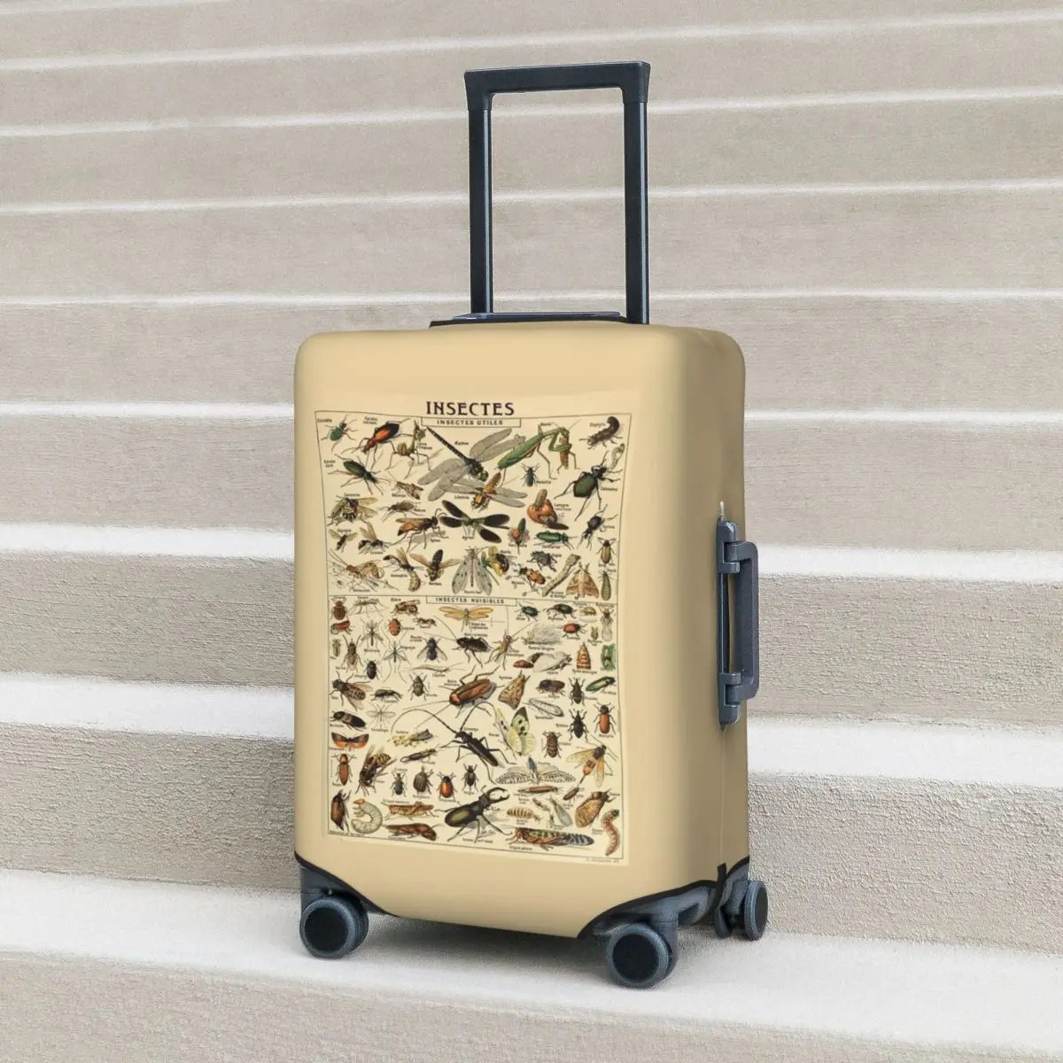

Insects In French Suitcase Cover Protection Elastic Travel Luggage Protector Covers for 18-32 Inch