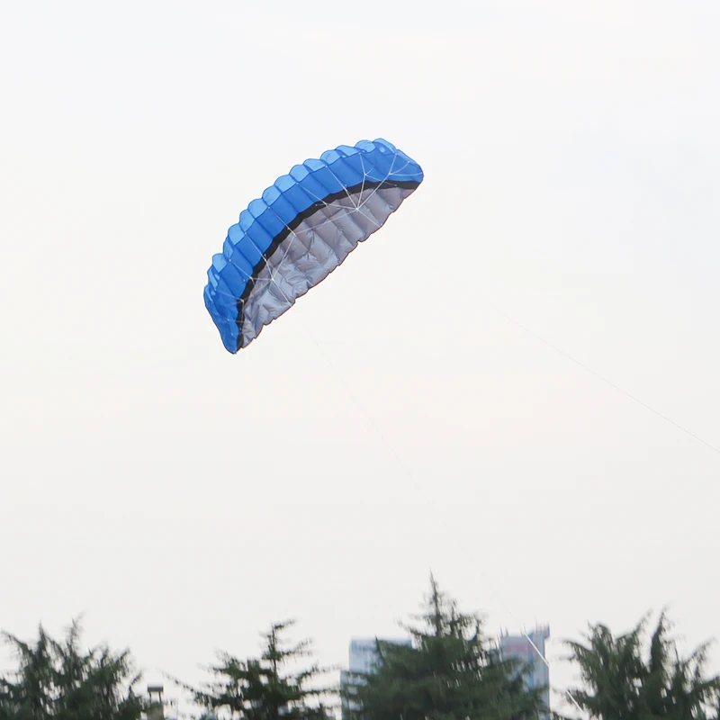 Paradise Bird 2,5 m doble línea acrobacias deportes cometa suave parafoil cometa Surf volando deportes al aire libre cometa juguetes al aire libre Kiteboard fábrica