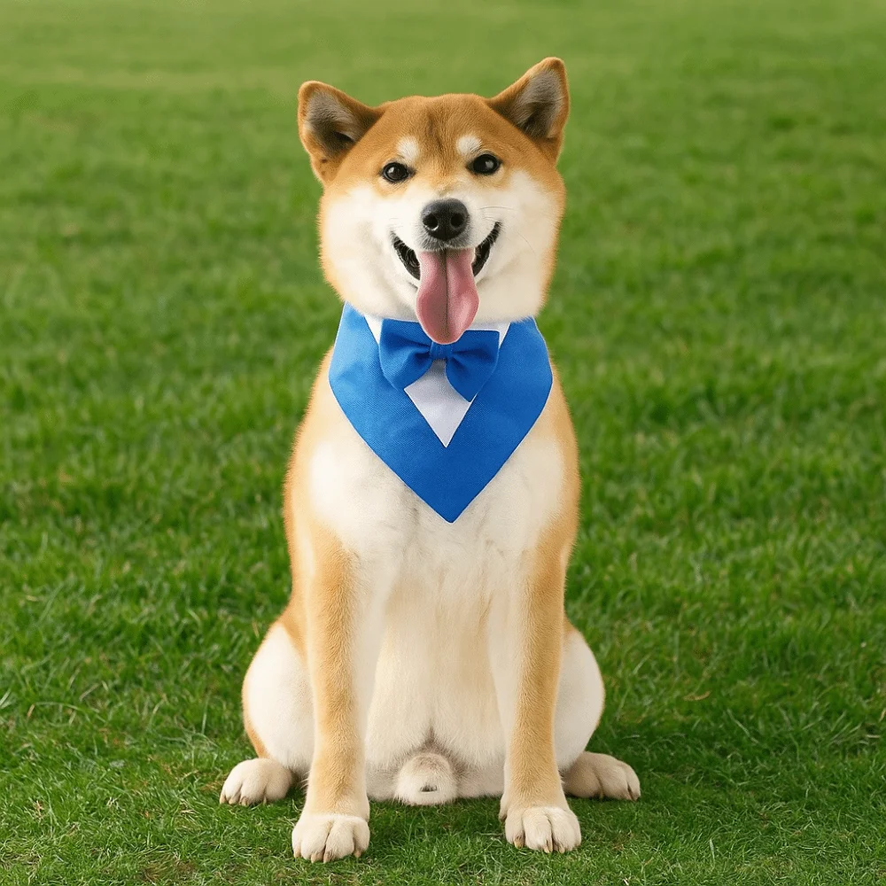

Neck Kerchief Saliva Towel Dog Bow Tie Comfortable Business Suit Pet Bandana Fashion Adjustable Cat Triangle Scarf Pet Parties