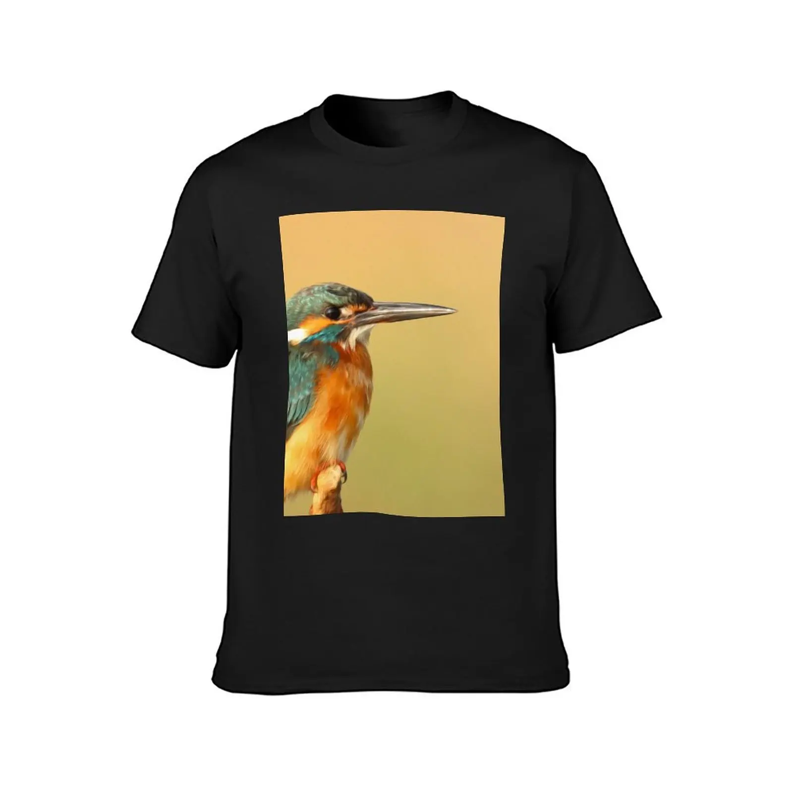 Animals Birds Beautiful Gorgeous Feathers Beak T-Shirt blanks summer tops t shirts men